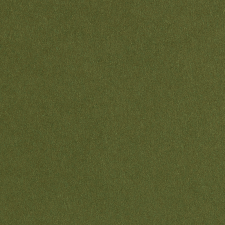 Дизайнерская бумага Magic color olive green /оливковый
